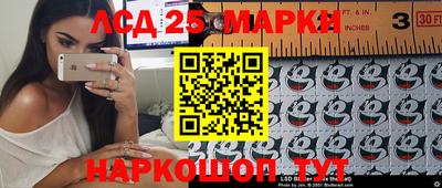 мдпв Гатчина