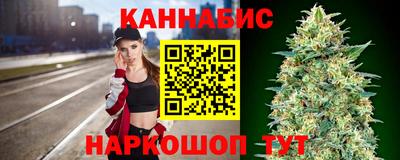 мдпв Гатчина