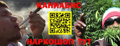 мдпв Гатчина