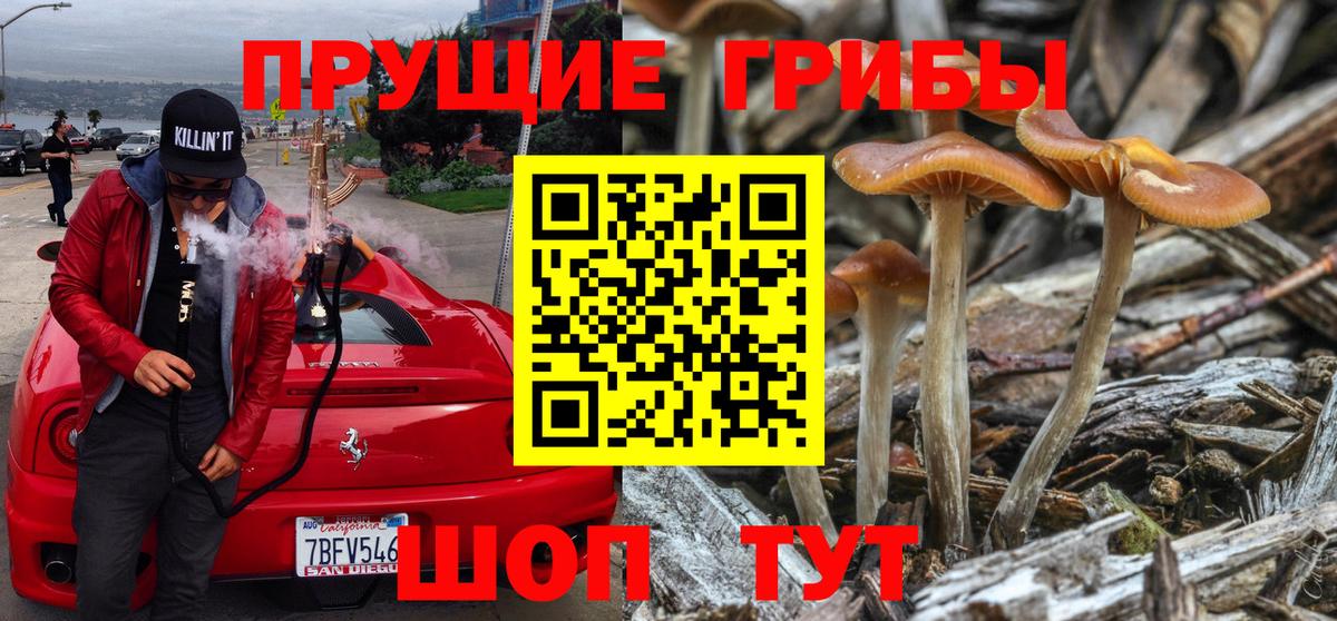 Галлюциногенные грибы прущие грибы  Галлюциногенные грибы мухоморы  Вход с VPN  Вязники 