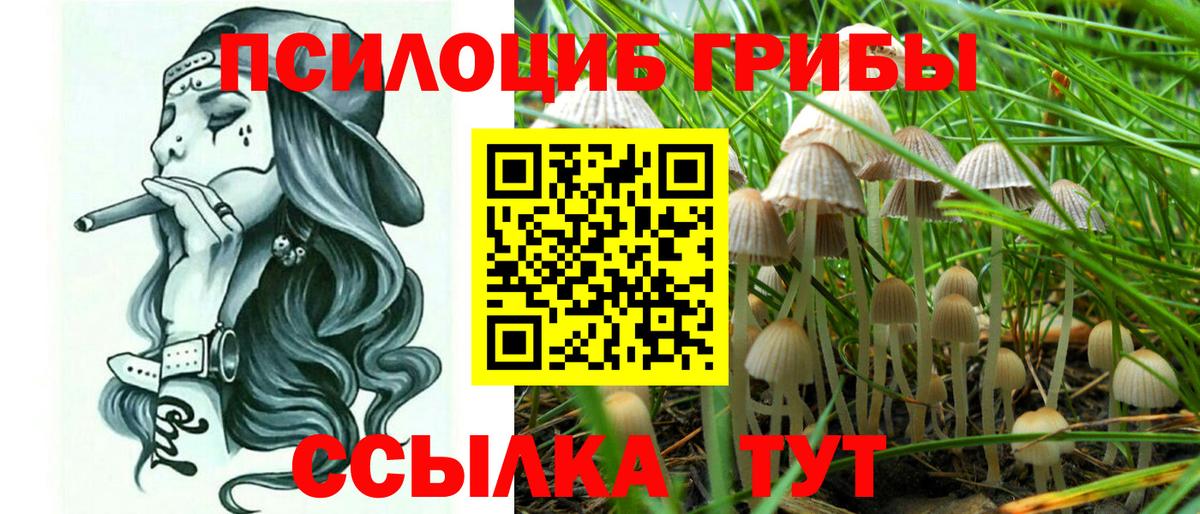 Галлюциногенные грибы мухоморы Вязники
